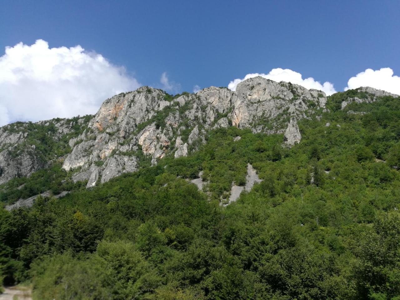 Hotel Juzni Vetar Trnski Odorovci Esterno foto