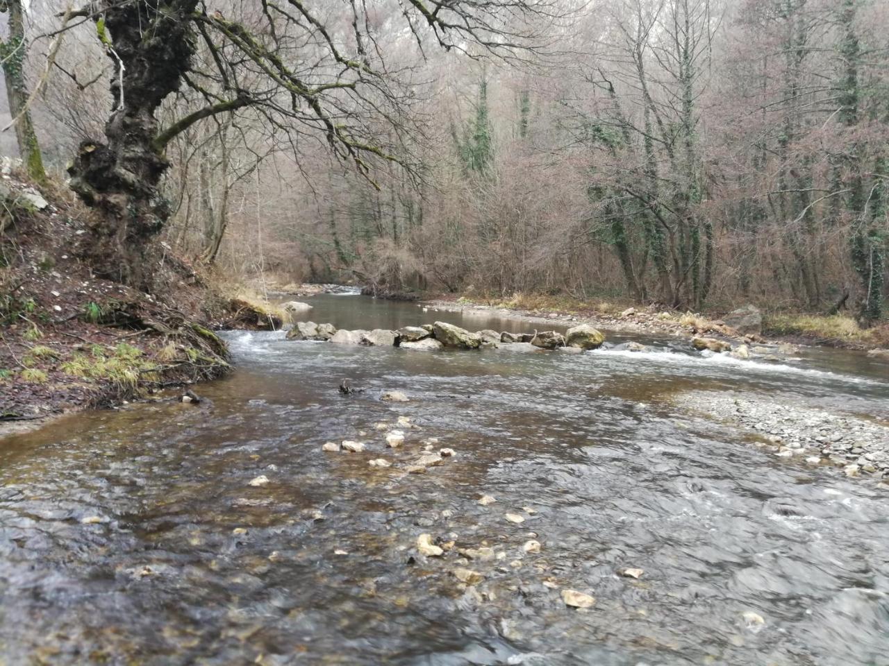 Hotel Juzni Vetar Trnski Odorovci Esterno foto