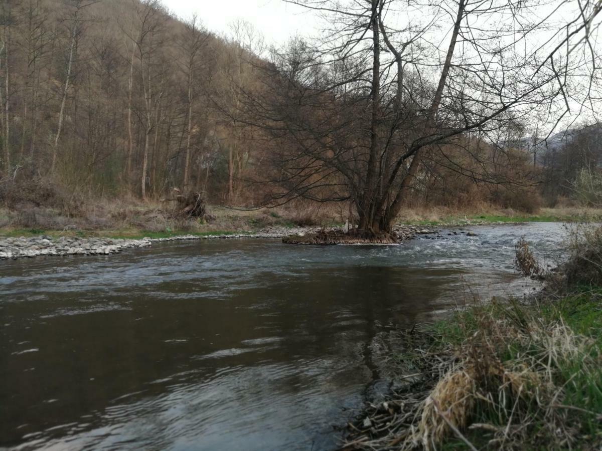 Hotel Juzni Vetar Trnski Odorovci Esterno foto