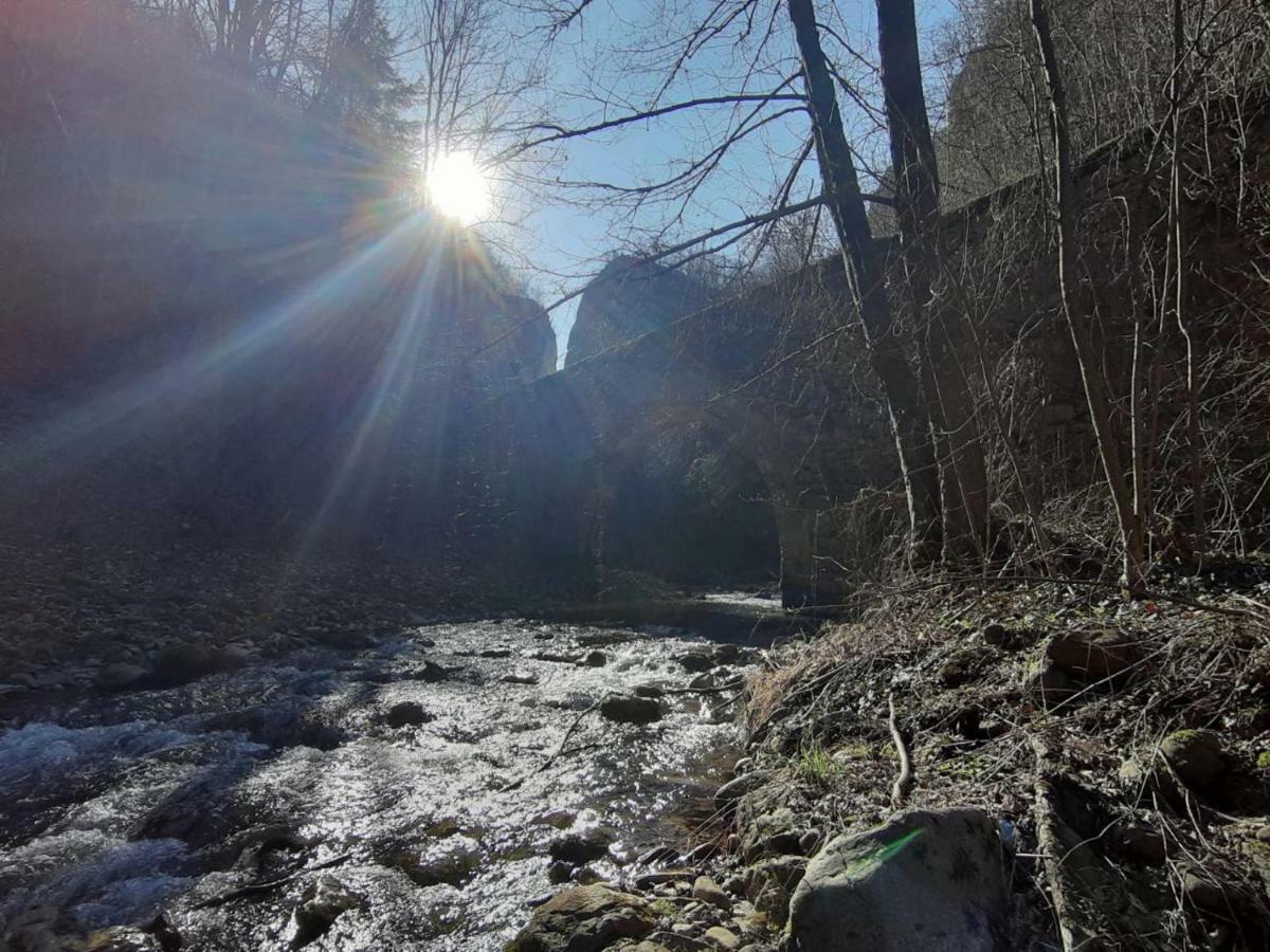 Hotel Juzni Vetar Trnski Odorovci Esterno foto